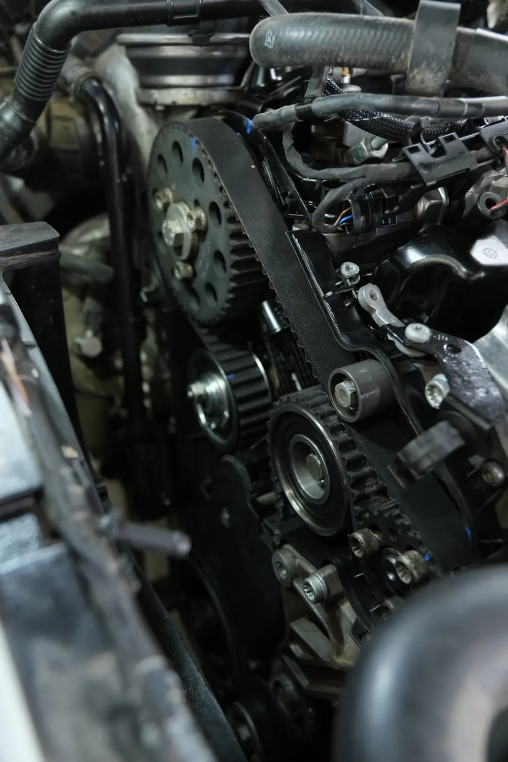 Correa y poleas de distribución en el vano motor